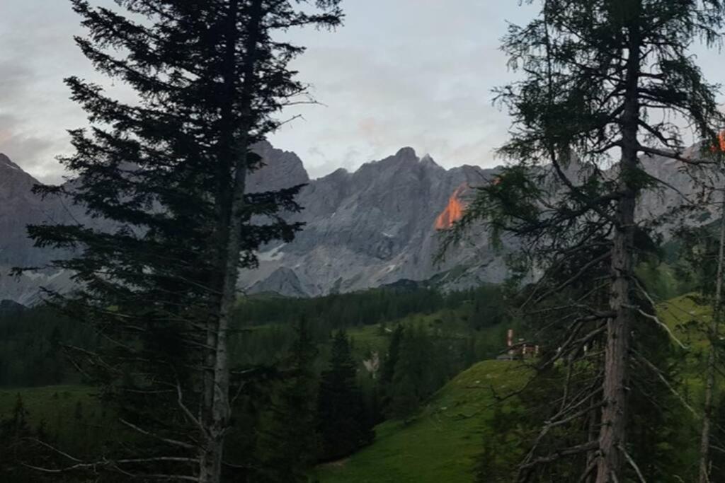 Apartment Tauernblick Ramsau am Dachstein Dış mekan fotoğraf