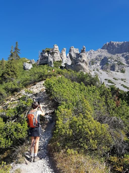 Apartment Tauernblick Ramsau am Dachstein Dış mekan fotoğraf